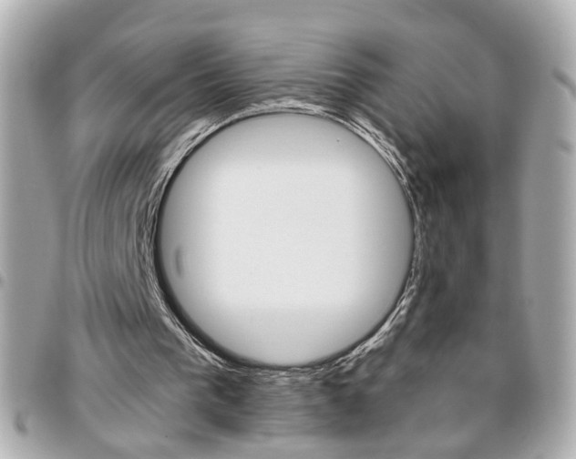 X0000096440193200801241125