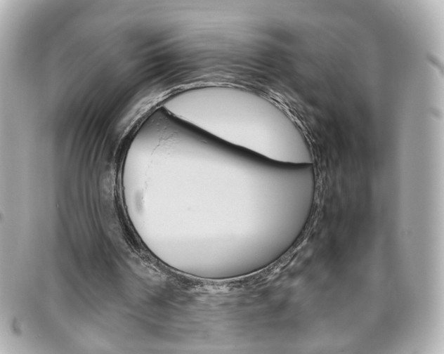 X0000096440194200801241125