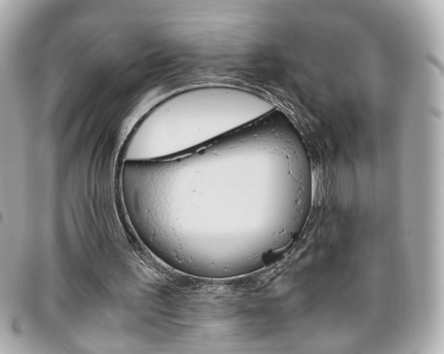 X0000096440195200801241125