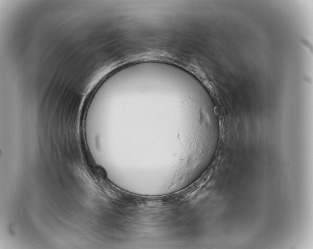 X0000096440196200801241125