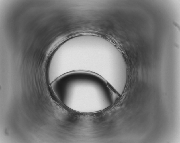 X0000096440197200801241125