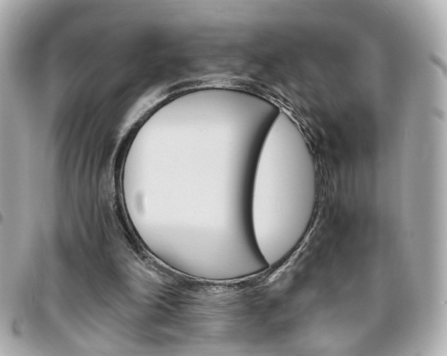 X0000096440198200801241125