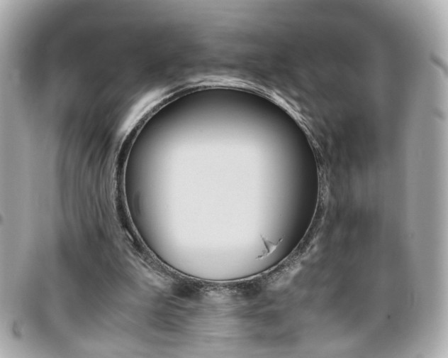 X0000096440199200801241125