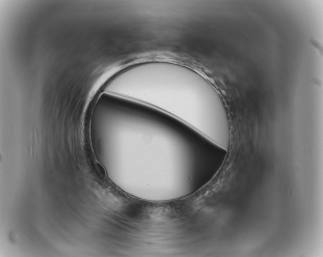 X0000096440200200801241125