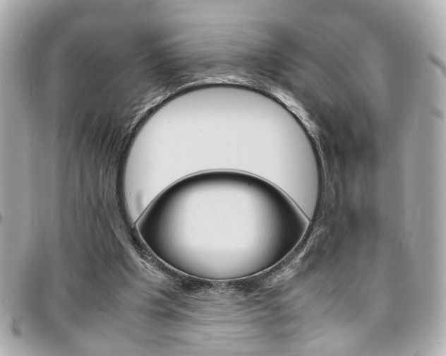 X0000096440201200801241125