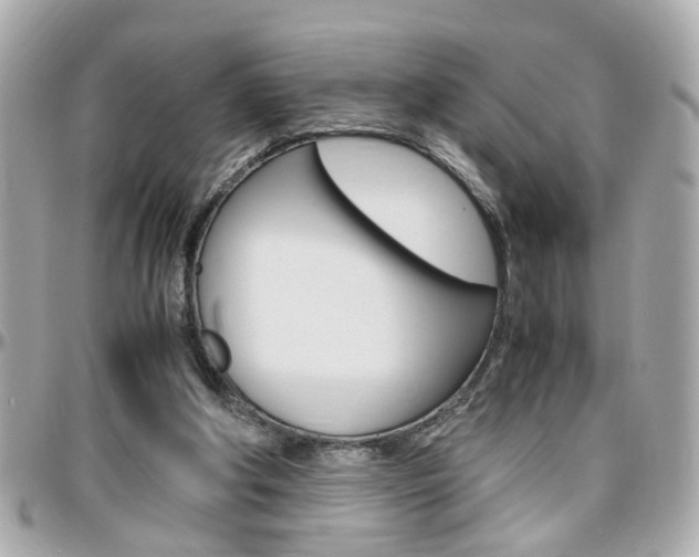 X0000096440202200801241125