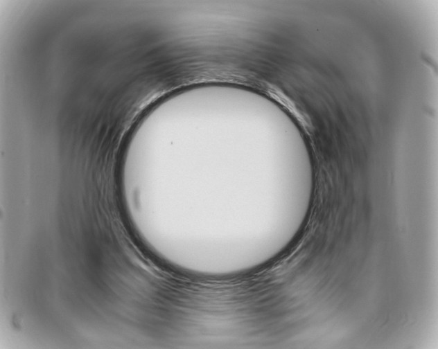 X0000096440203200801241125