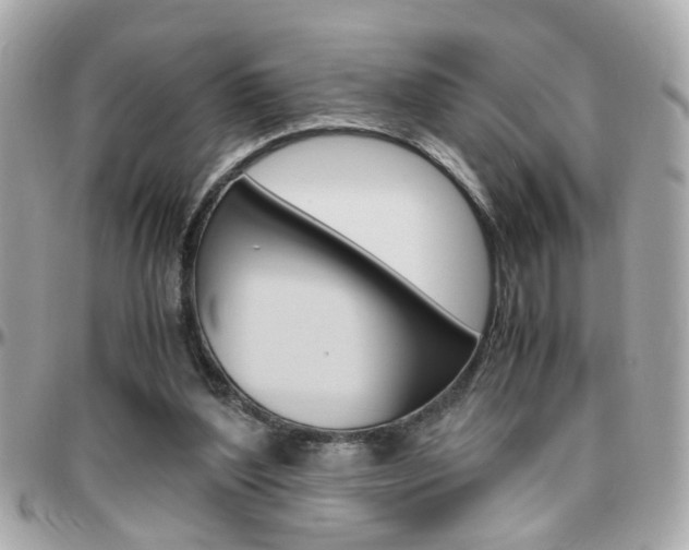 X0000096440204200801241125