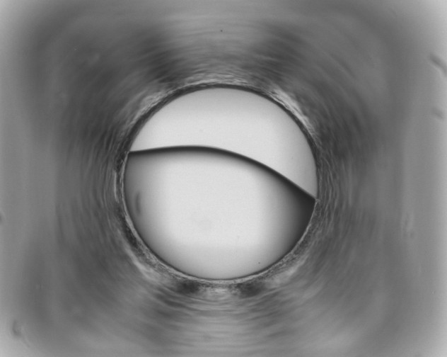 X0000096440205200801241125