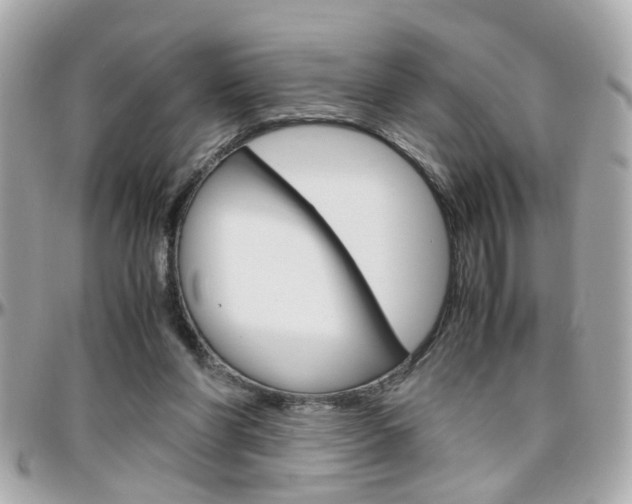 X0000096440206200801241125
