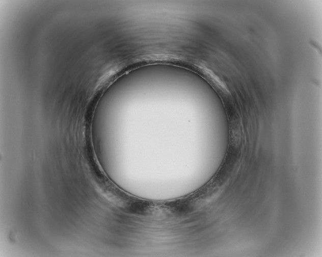 X0000096440207200801241125