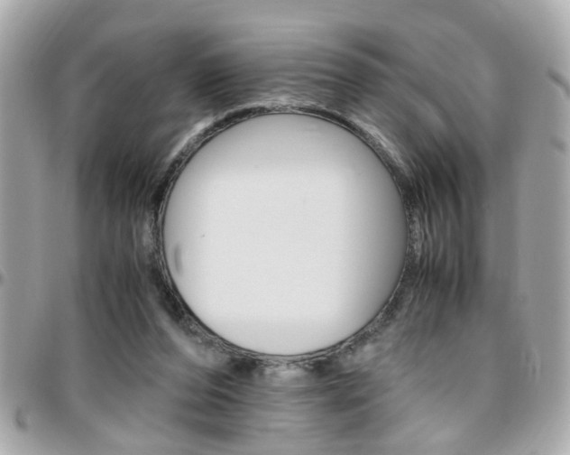X0000096440208200801241125