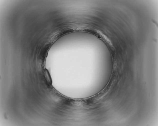 X0000096440209200801241125