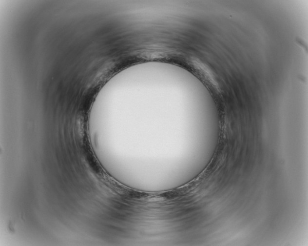 X0000096440210200801241125