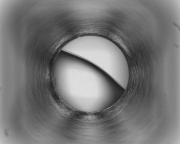X0000096440212200801241125