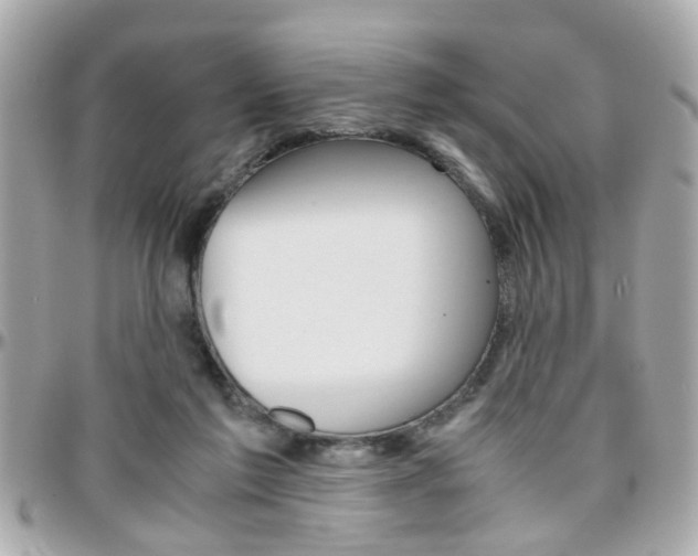 X0000096440213200801241125