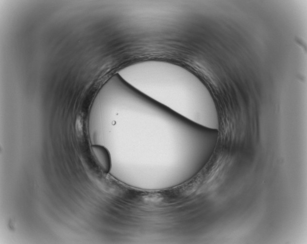 X0000096440214200801241125