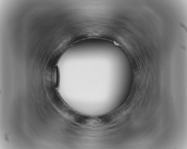 X0000096440215200801241125
