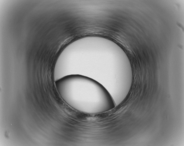 X0000096440216200801241125