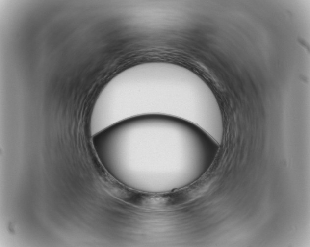 X0000096440217200801241125