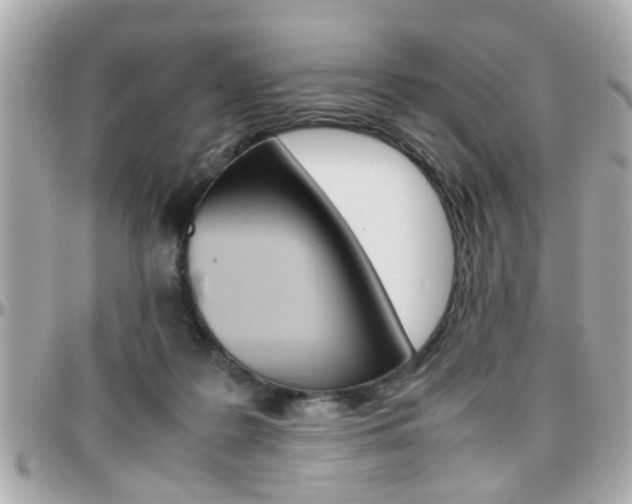 X0000096440219200801241125