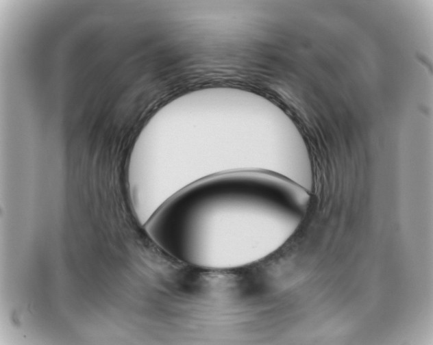 X0000096440221200801241125