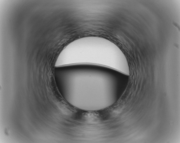 X0000096440223200801241125