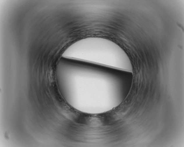 X0000096440224200801241125