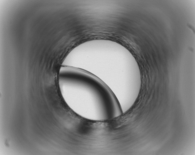 X0000096440225200801241125