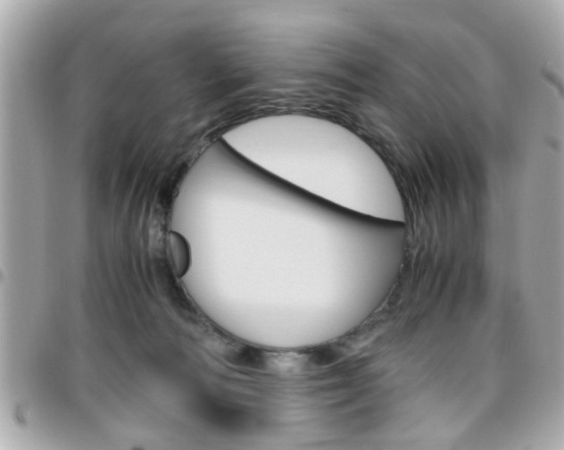 X0000096440226200801241125