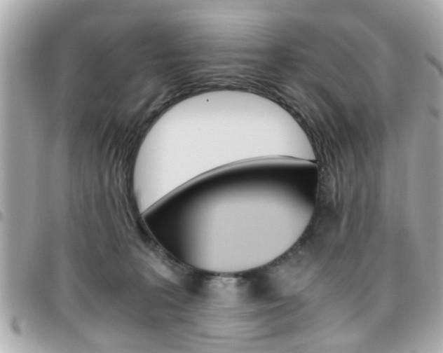 X0000096440227200801241125