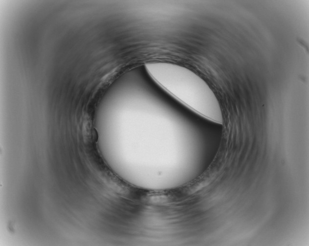 X0000096440228200801241125