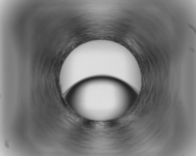X0000096440229200801241125