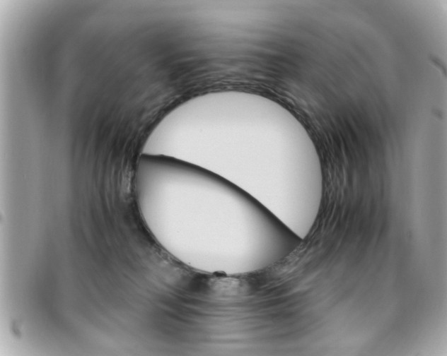 X0000096440230200801241125