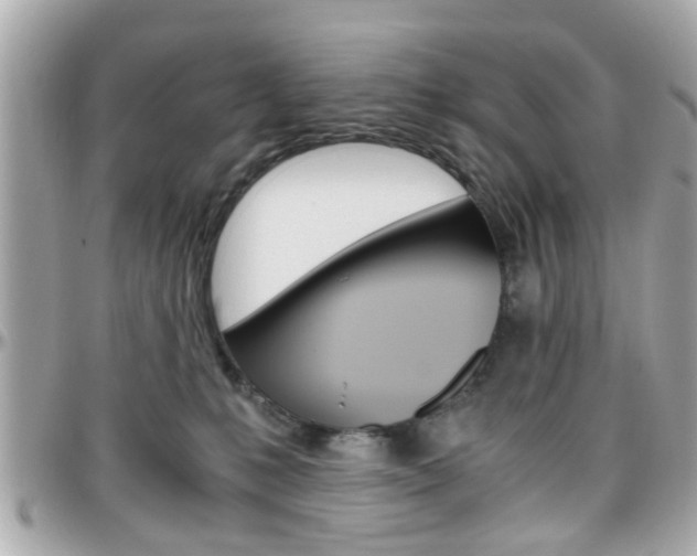 X0000096440231200801241125
