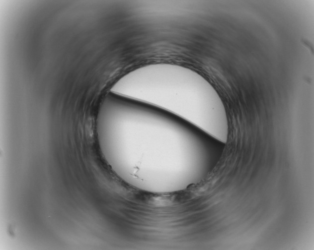 X0000096440232200801241125