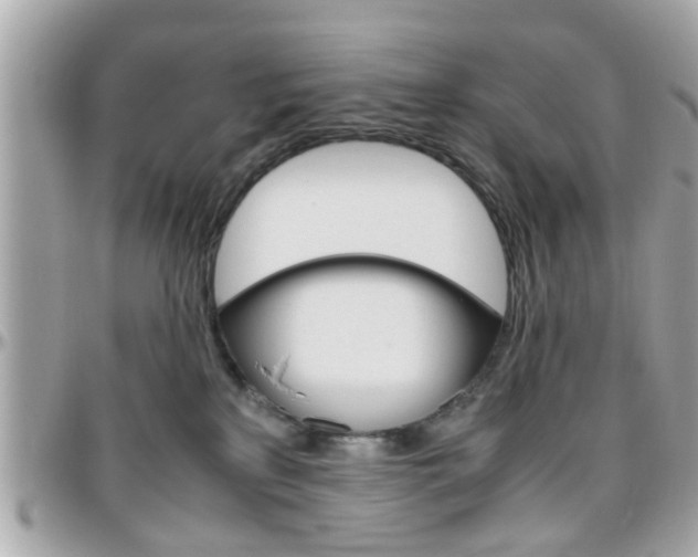 X0000096440233200801241125