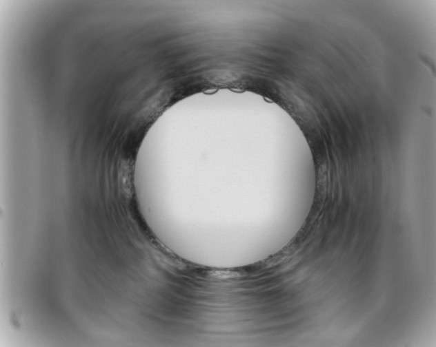 X0000096440234200801241125