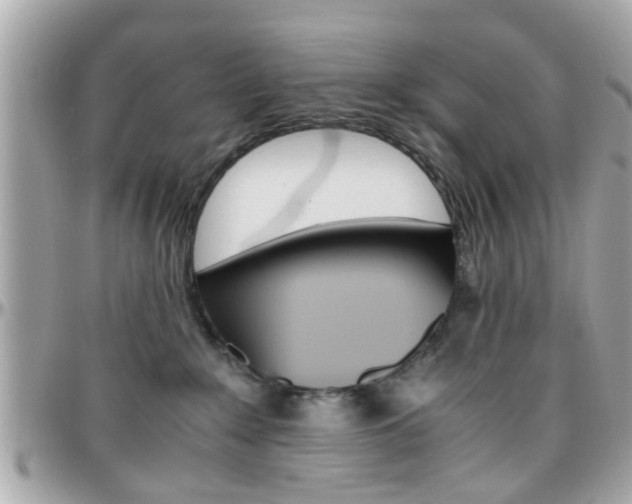 X0000096440235200801241125