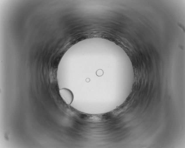 X0000096440236200801241125
