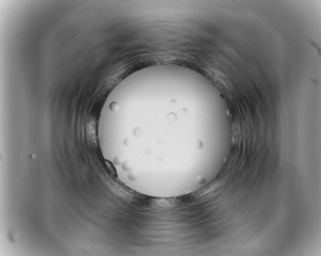 X0000096440238200801241125