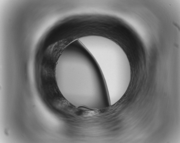 X0000096440239200801241125