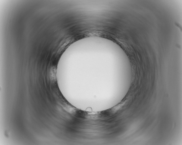 X0000096440240200801241125