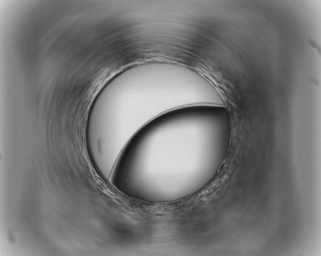 X0000096440241200801241124