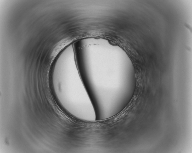 X0000096440242200801241124