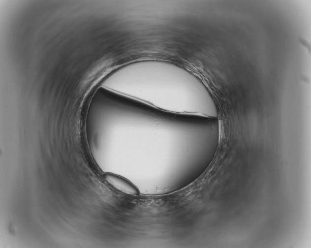 X0000096440243200801241124