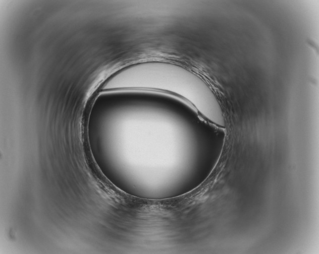 X0000096440244200801241124