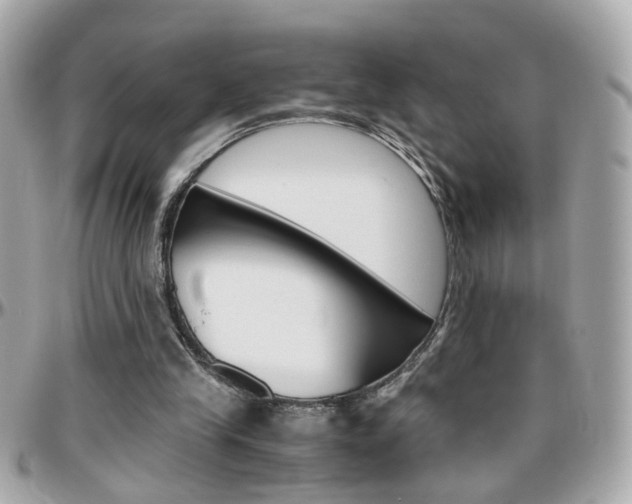 X0000096440245200801241124