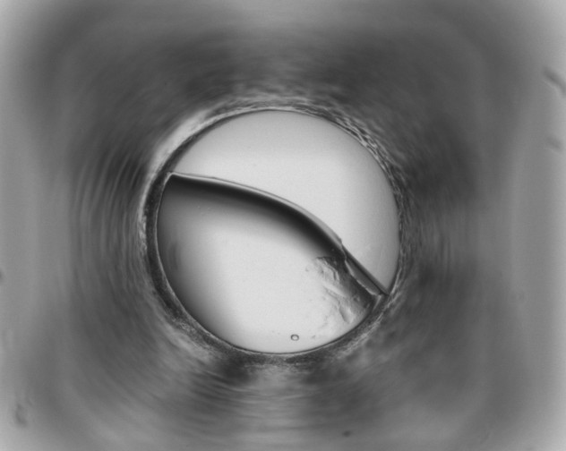 X0000096440246200801241124