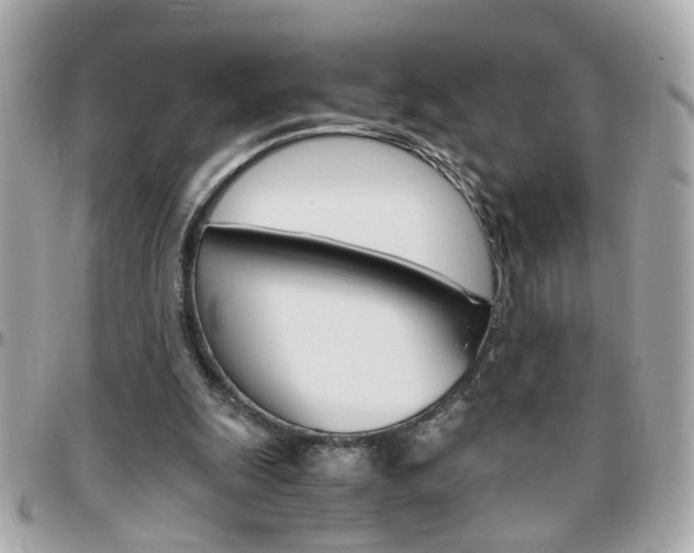 X0000096440247200801241124